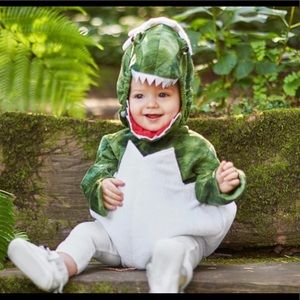 Baby dinosaur costume